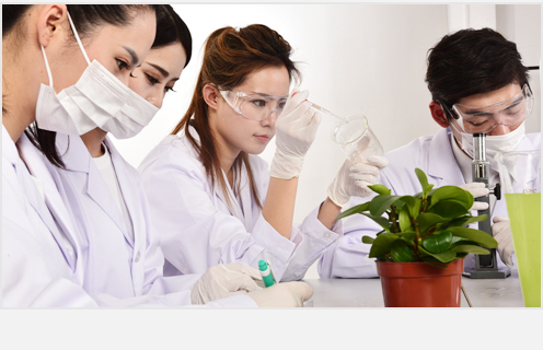 自主材料研發 自主材料研發